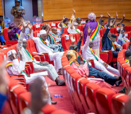 Mali : le CNT adopte le projet de révision de la Charte de la Transition