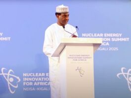Le Niger ambitionne de jouer un rôle majeur dans le nucléaire civil africain
