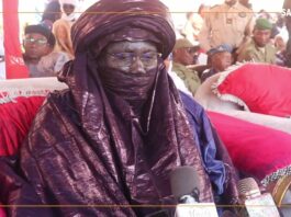 Niger/Agadez : dans les secrets du Bianou, joyau culturel de l’Aïr