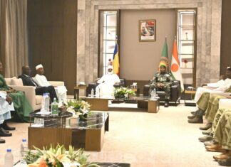 Le Niger et le Tchad renforcent leur coopération sécuritaire, énergétique, économique et diplomatique