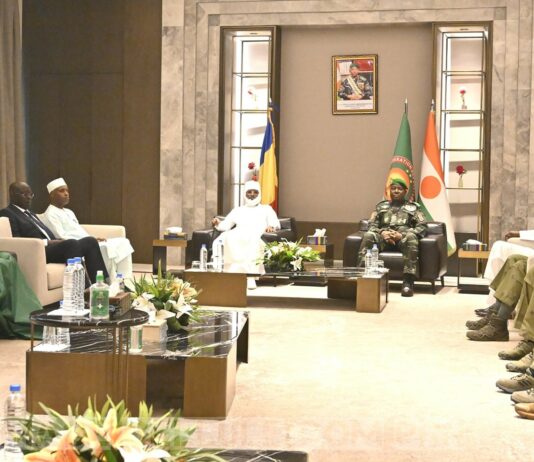 Le Niger et le Tchad renforcent leur coopération sécuritaire, énergétique, économique et diplomatique