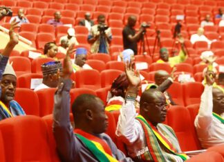 Mali : le CNT adopte à l’unanimité la Charte nationale pour la paix et la réconciliation