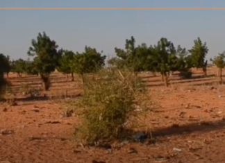 Saheli Kunkan du 28 juillet au 4 août 2025