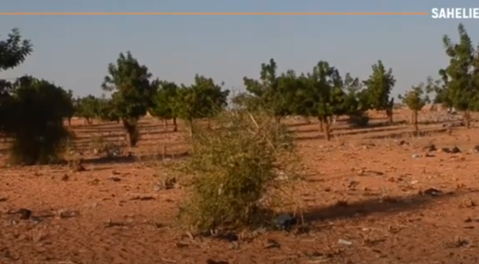 Saheli Kunkan du 28 juillet au 4 août 2025