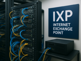 Niger : inauguration d’un point d’échange internet (IXP)
