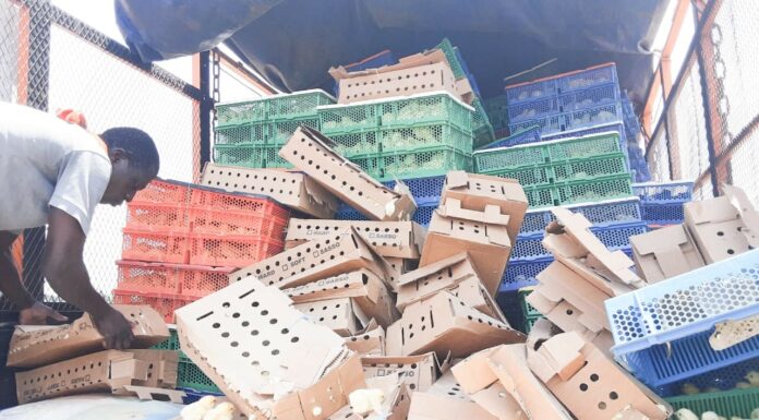 Le récap’ Sahel du 25 au 29 août 2025