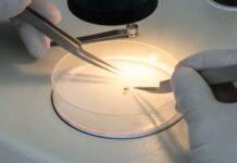 Burkina Faso/Lutte contre le paludisme : le gouvernement met fin au projet Target Malaria