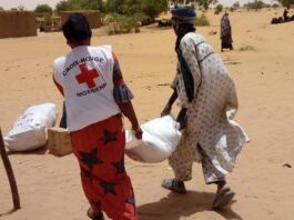 Niger : le gouvernement dissout la direction de la Croix-Rouge nigérienne