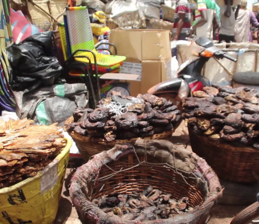 Mali : à Koro et Mopti, les difficultés d’approvisionnement font flamber les prix des produits