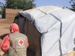 Niger : dissolution des bureaux locaux de la Croix-Rouge nigérienne