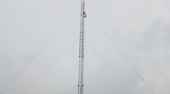 Niger : un journaliste condamné à deux ans et demi de prison pour des propos jugés « injurieux » contre le chef de l’État