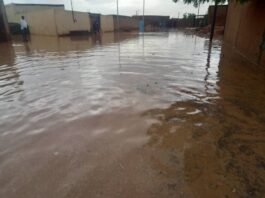 Niger/Inondations : plus de 246.000 sinistrés recensés