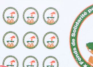 Niger : le gouvernement élargit les ressources du Fonds de Solidarité nationale avec de nouveaux prélèvements institutionnalisés