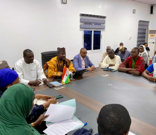 Niger : deux comités pour renforcer la communication publique et lutter contre la désinformation