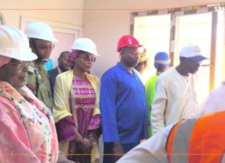 Niger/Electricité : renforcement de la boucle Haute tension de Niamey