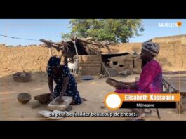 Mali/Koro: à Goroboro, ces femmes préservent l’usage du moulin artisanal