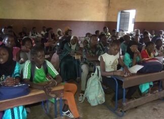 Le récap’ Sahel du 10 au 14 novembre 2025