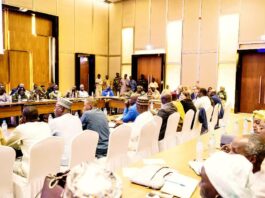 Niger : reprise du Cadre national de concertation sur la décentralisation après trois ans d’interruption