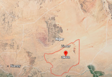 Niger : plus de 400 000 hectares de pâturages ravagés par les feux de brousse à Zinder