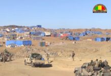 Le récap’ Sahel du 17 au 21 novembre 2025