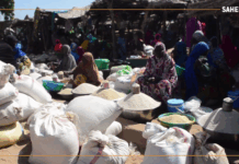 Niger/Interdiction d’exportation du riz : entre production et nécessité d’un circuit d’écoulement local efficace