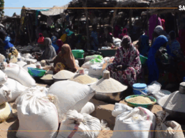 Niger/Interdiction d’exportation du riz : entre production et nécessité d’un circuit d’écoulement local efficace