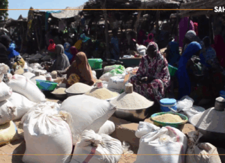 Niger/Interdiction d’exportation du riz : entre production et nécessité d’un circuit d’écoulement local efficace