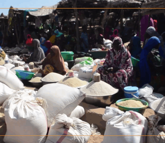 Niger/Interdiction d’exportation du riz : entre production et nécessité d’un circuit d’écoulement local efficace
