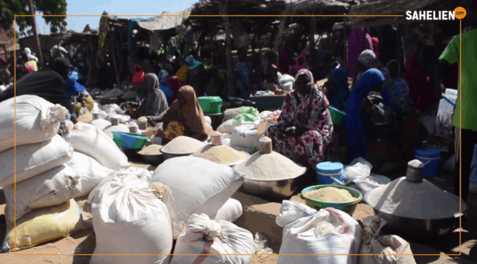 Niger/Interdiction d’exportation du riz : entre production et nécessité d’un circuit d’écoulement local efficace