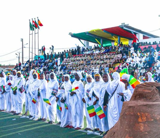 Le récap’ Sahel du 15 au 19 décembre 2025