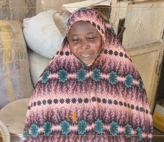 Niger : le criquet au cœur de nombreux enjeux