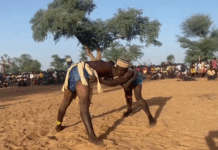 Mali/Plateau Dogon : la lutte traditionnelle « Adjerou », facteur de cohésion sociale