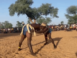 Mali/Plateau Dogon : la lutte traditionnelle « Adjerou », facteur de cohésion sociale