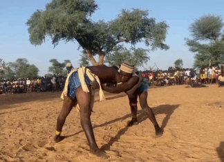 Mali/Plateau Dogon : la lutte traditionnelle « Adjerou », facteur de cohésion sociale