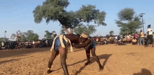 Mali/Plateau Dogon : la lutte traditionnelle « Adjerou », facteur de cohésion sociale