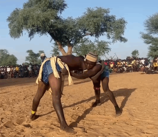 Mali/Plateau Dogon : la lutte traditionnelle « Adjerou », facteur de cohésion sociale