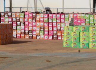 Burkina Faso : plus d’1,5 million de comprimés de tapentadol saisis