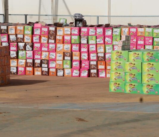 Burkina Faso : plus d’1,5 million de comprimés de tapentadol saisis