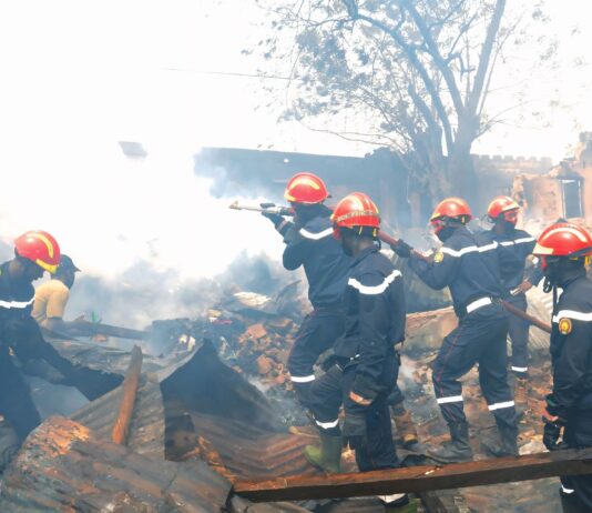 Le récap’ Sahel du 16 au 20 février 2026