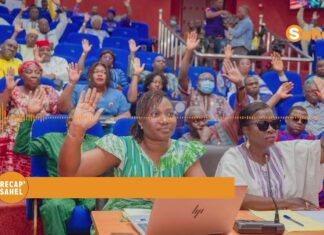 Le récap’ Sahel du 9 au 13 février 2026