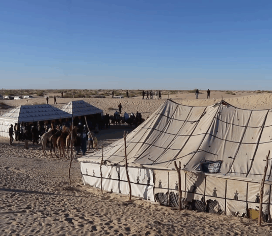 Culture : vivre Tombouctou autrement