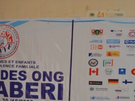 Niger : un cadre de concertation pour encadrer les ONG, après une vague de dissolutions