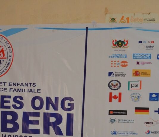 Niger : un cadre de concertation pour encadrer les ONG, après une vague de dissolutions