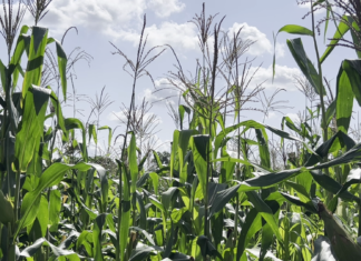 Le récap’ Sahel du 09 au 13 mars 2026