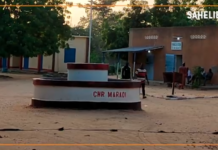 Niger : le gouvernement recourt au service civique pour pallier le manque de personnel de santé