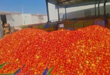 Le récap’ Sahel du 16 au 20 mars 2026