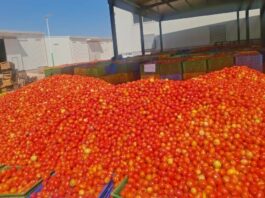 Le récap’ Sahel du 16 au 20 mars 2026