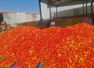 Le récap’ Sahel du 16 au 20 mars 2026