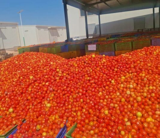 Le récap’ Sahel du 16 au 20 mars 2026