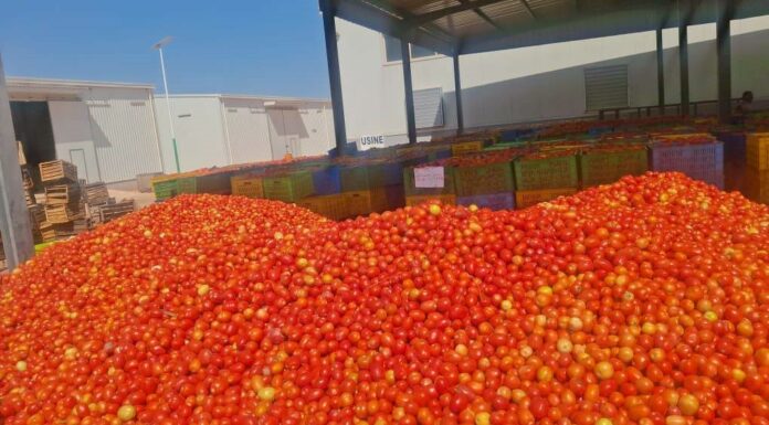 Le récap’ Sahel du 16 au 20 mars 2026